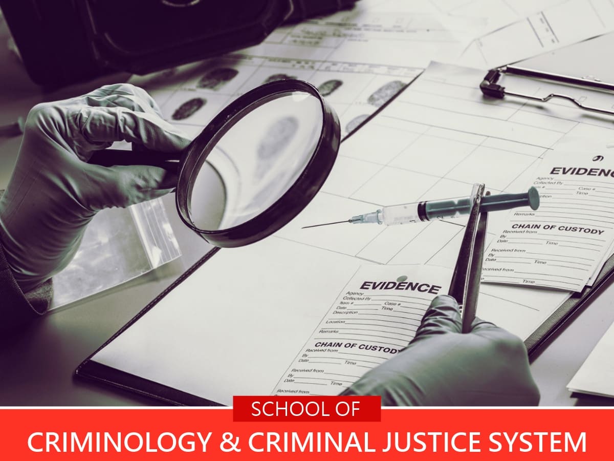 Criminology & Criminal Justice System