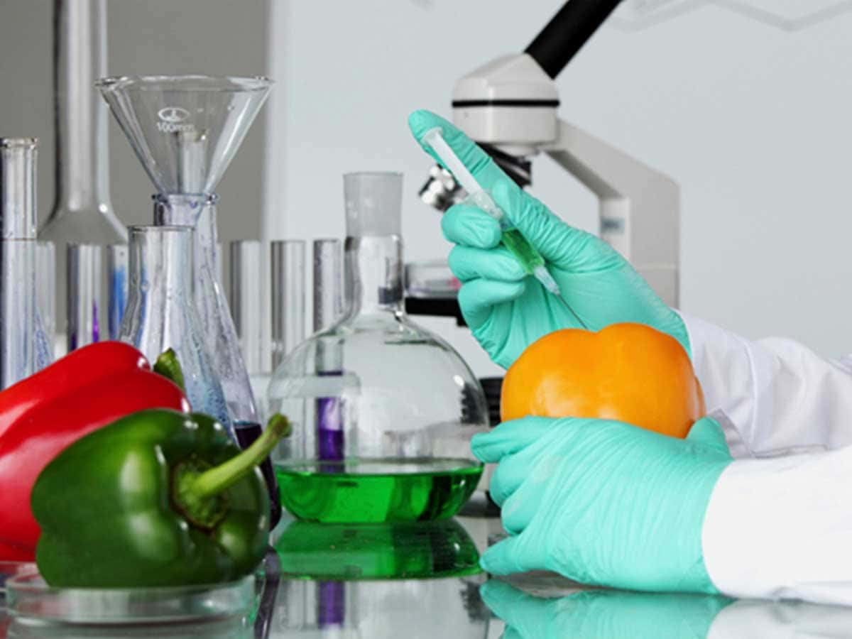 research and innovation in food science and technology