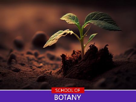 Botany