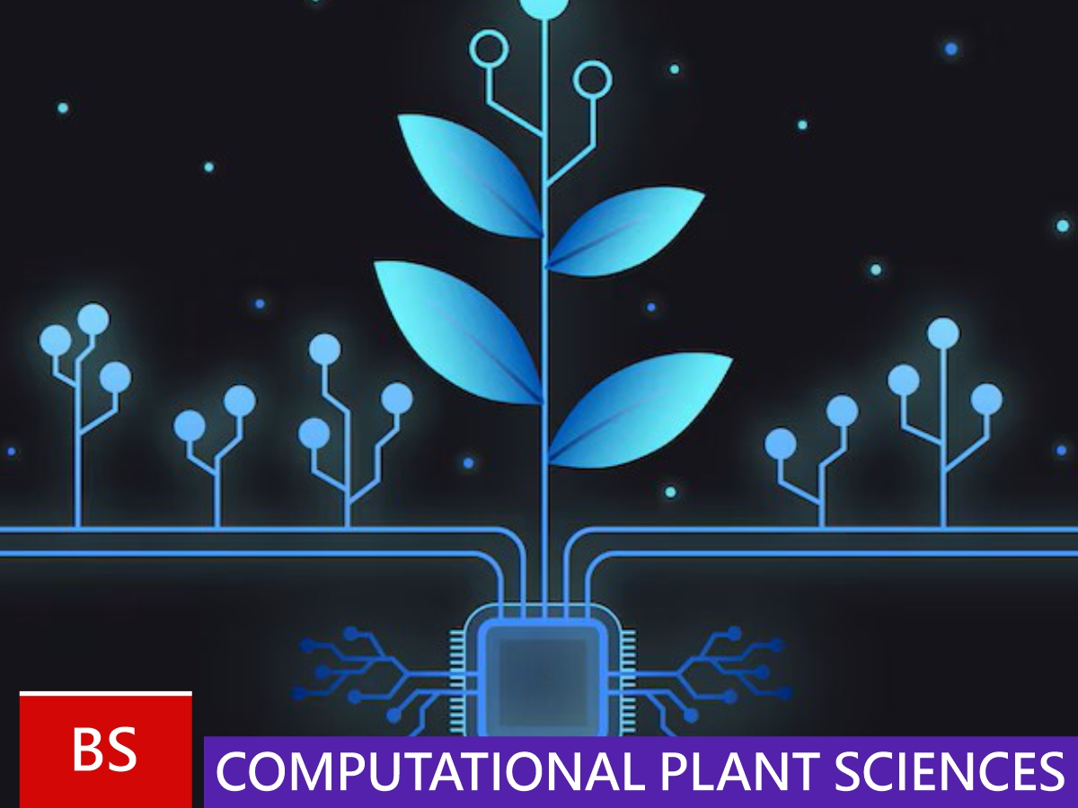 BS Computational Plant Sciences