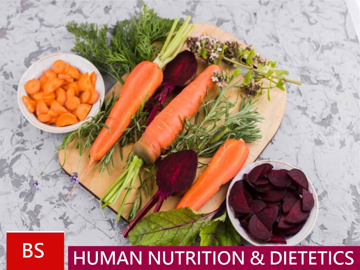 BS Human Nutrition and Dietetics