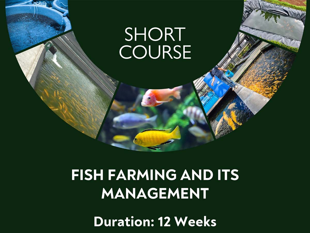 Fish Farming and its Management