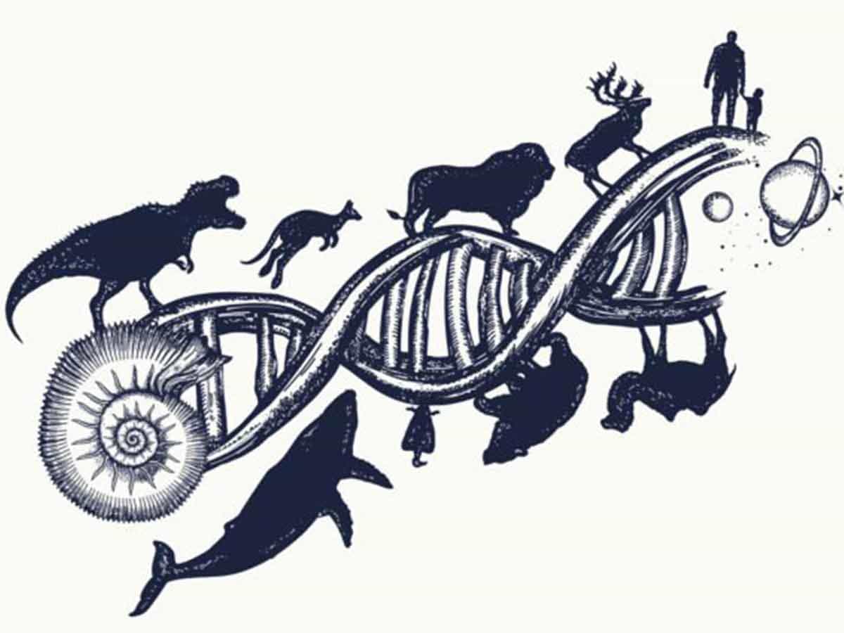 M Sc Zoology