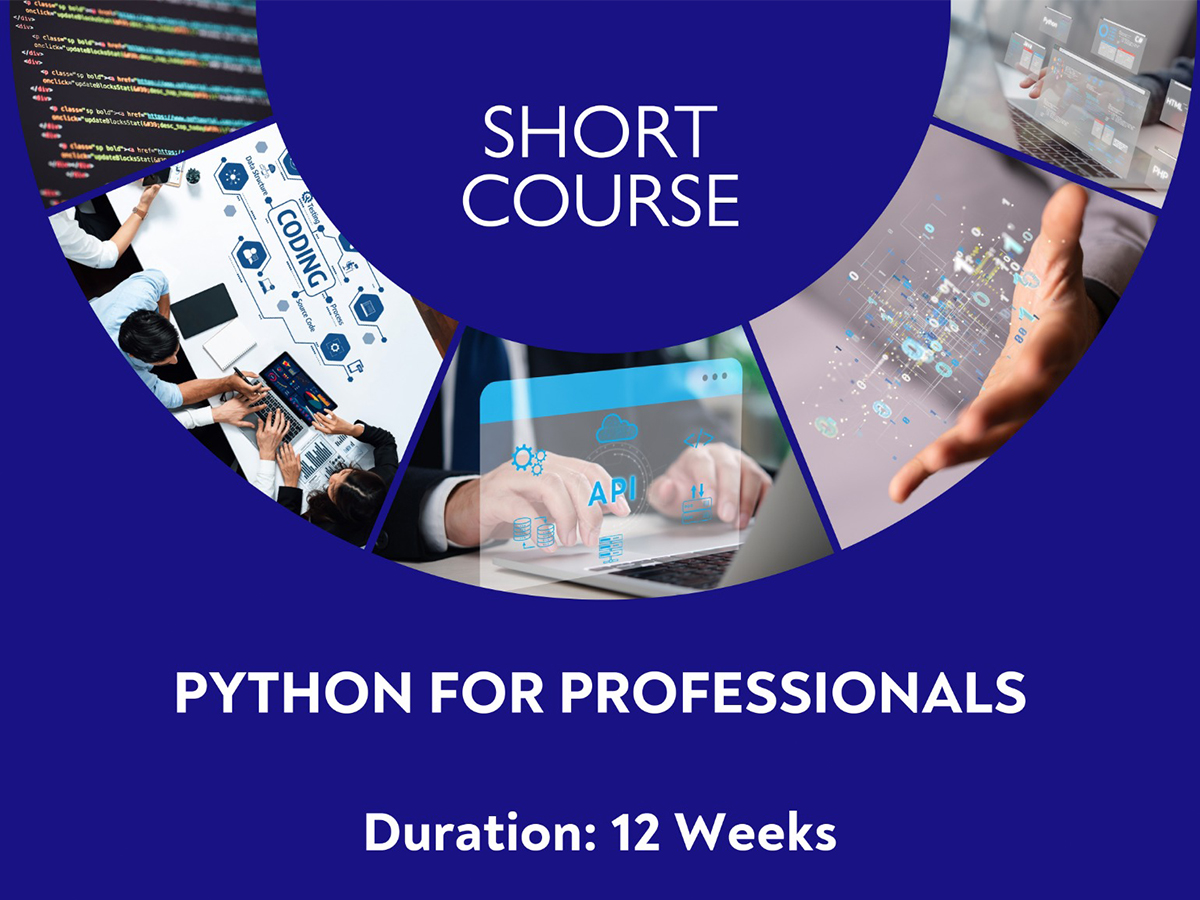 Python for Professional